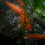 201011230730001.jpg