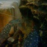 201102181626000.jpg