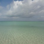 image02.jpg