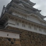 20160726_212705_3.jpeg