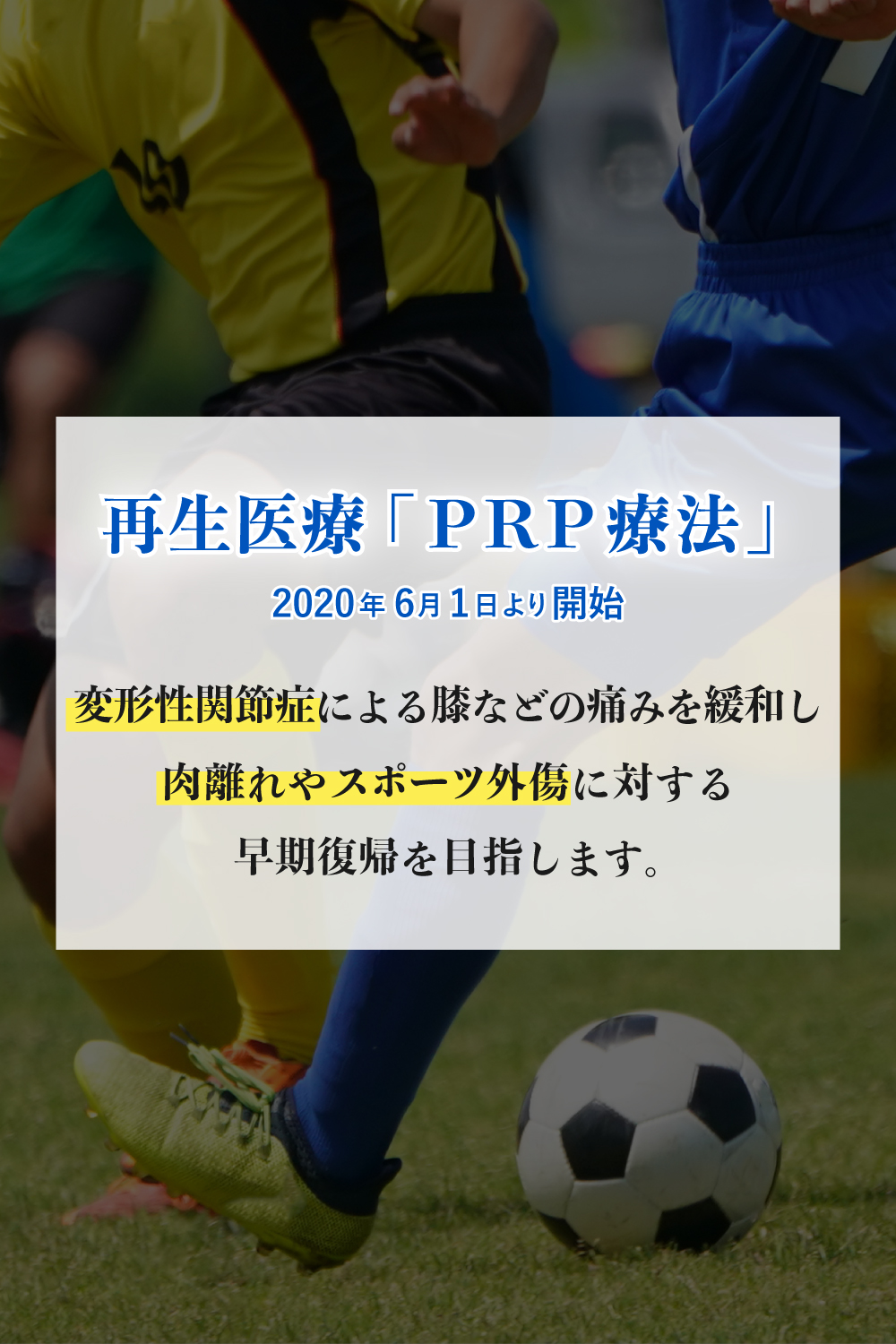 畠山整形外科では再生医療「PRP療法」により変形性関節症による膝などの痛みを緩和し、肉離れやスポーツ外傷に対する早期復帰を目指します。